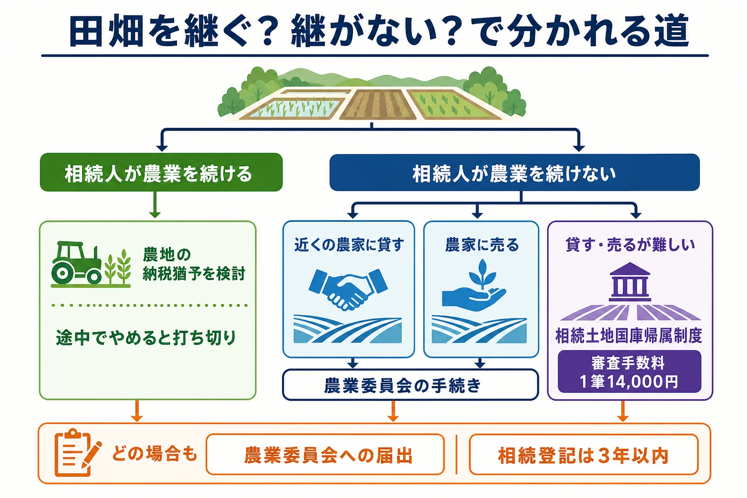 相続人が農業を続けるかどうかで、納税猶予・貸す・売る・国庫帰属制度のどれを選ぶかが分かれる分岐表