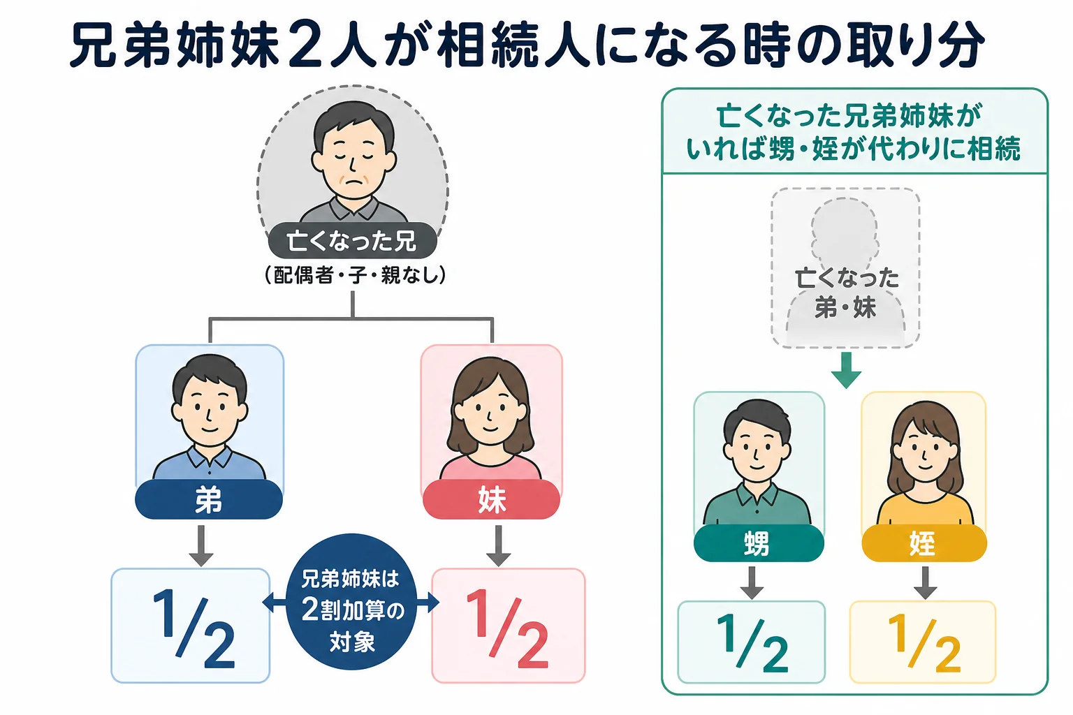 兄弟姉妹2人が相続人になる時の家系図と取り分